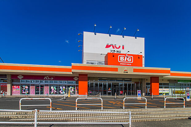ザ・ビッグ神辺店（約500m）
