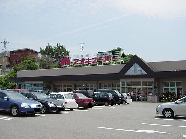 アオキスーパー 伊賀店