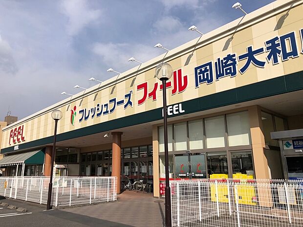 フィール 岡崎大和店