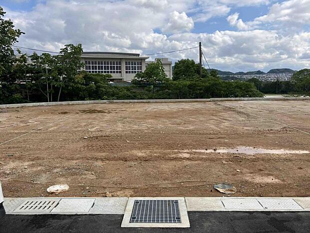 11号地
