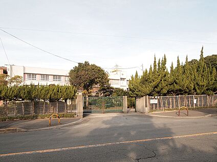 和泉市立信太中学校 約1250ｍ(徒歩16分)