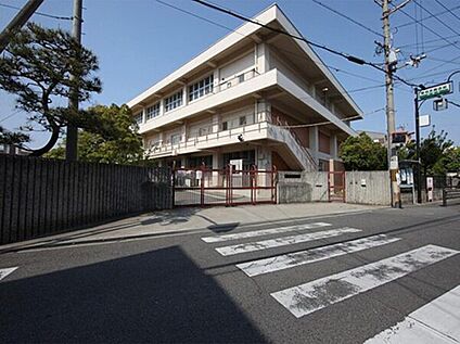 高石市立東羽衣小学校 約350m(徒歩5分)