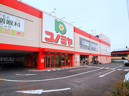 コノミヤ新高石店 約560ｍ(徒歩7分)