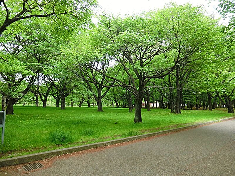 都立小金井公園、自然豊かで遊具も豊富な都立公園