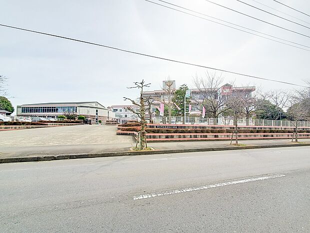 松前台小学校（約190m）