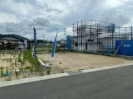 5号地