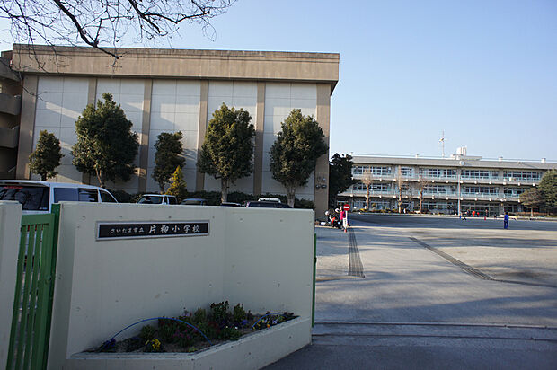 さいたま市立片柳小学校(約1,000m)