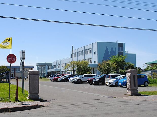 当別町立西当別小学校(約1m)
