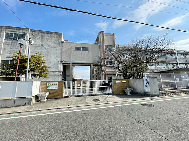 堺市立福泉小学校(約920m)