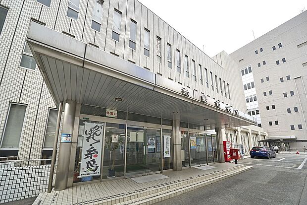 糸島市役所(約1m)