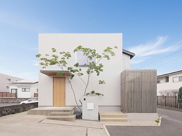 【緑が映える、シンプルで上質な外観】白い箱型のシルエットにシンボルツリーが映える、シンプルモダンな住まい。街並みに溶け込みながらも、さりげなく個性が光るデザインです。
