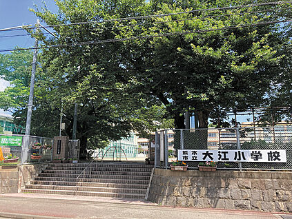 熊本市立大江小学校 現地から860m。(徒歩11分。)