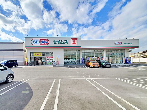 セイムス東海加木屋店(約1,200m)