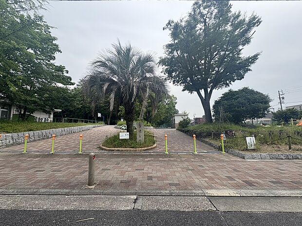 呼続公園（約500m）