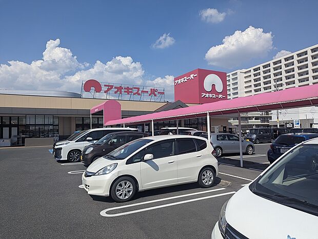アオキスーパー大府店