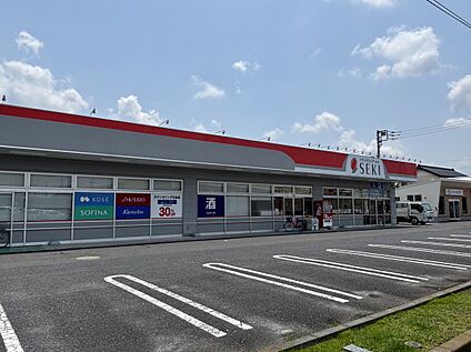 ドラッグストアセキ栗橋店 約200m(徒歩3分)