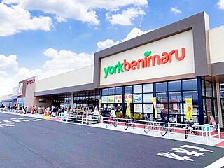 【総桧で建築します】　TXつくば　流星台　4700万円 その他