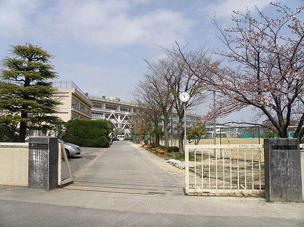 柏第三中学校（約1,330m）