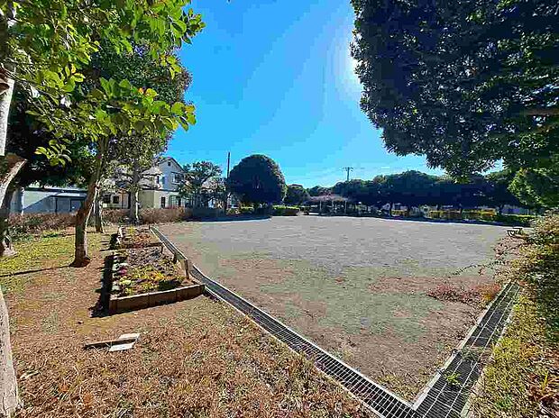 富士見公園（約304m）