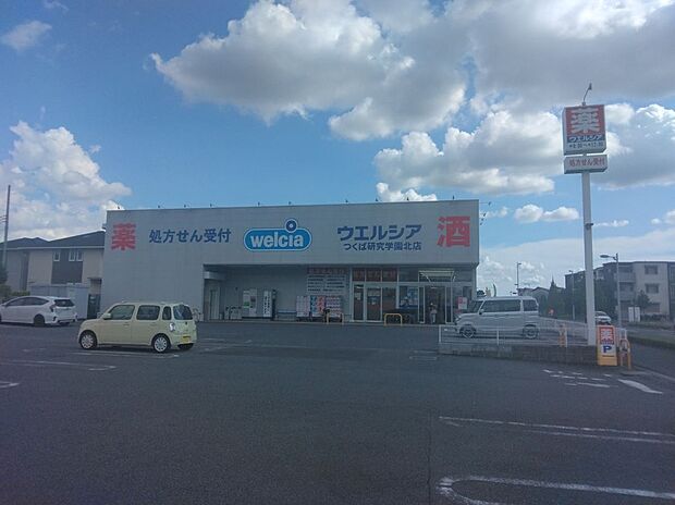 ウエルシア（約665m）