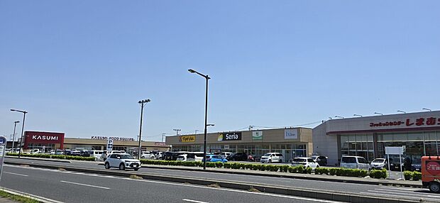 ピアシティ越谷大袋（約860m）