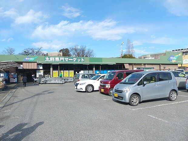 セレクション（約109m）