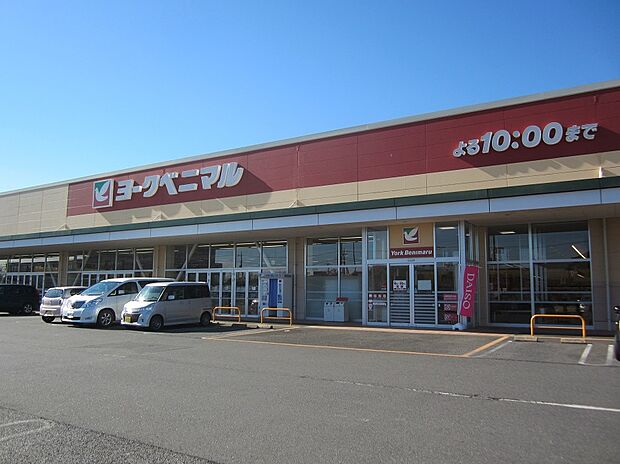 ヨークベニマル（約1,610m）