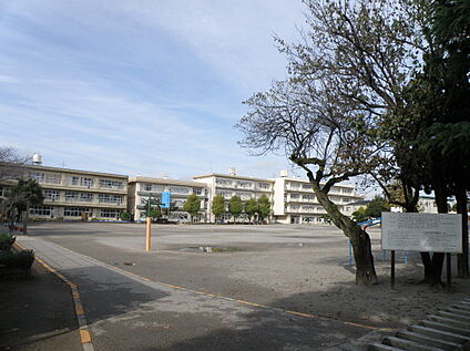 柏第五小学校 1280ｍ