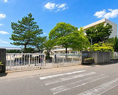 栄小学校 779ｍ