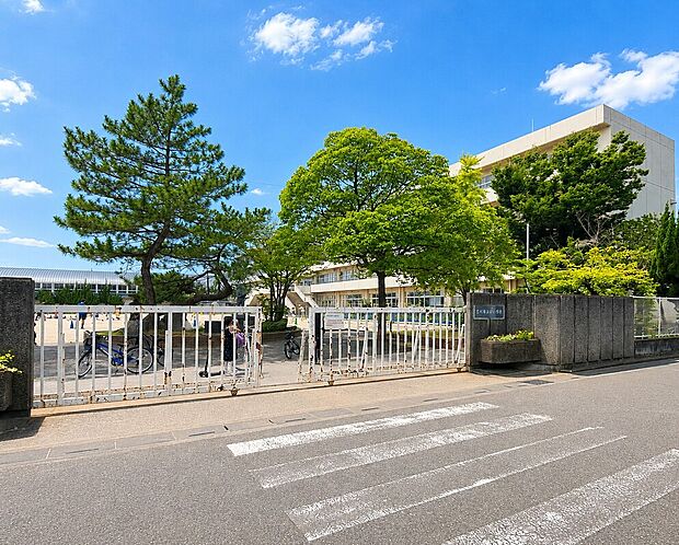 栄小学校(約779m)