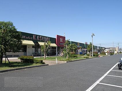 レプサモール 1265ｍ