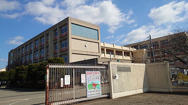 東神吉南小学校（約505m）