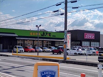 よってって・コスモス 800ｍ