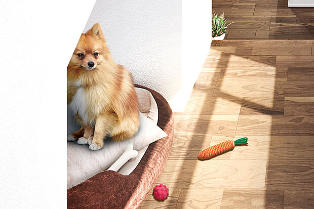 【わんちゃんヌック】
小上がりスペースの一角に、小型犬の寝室に便利な半個室空間を確保。愛犬が落ち着ける程良いこもり感があります。