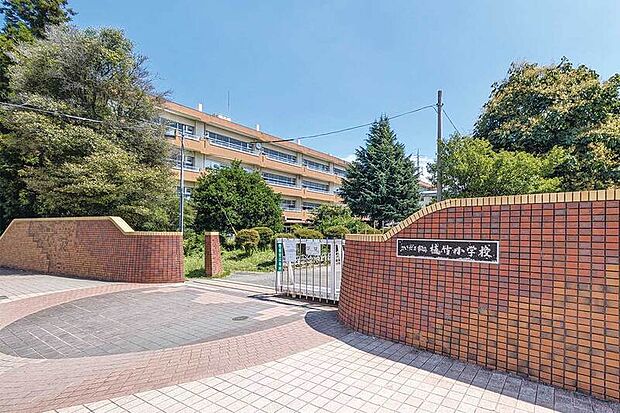 植竹小学校（現地より徒歩12分）