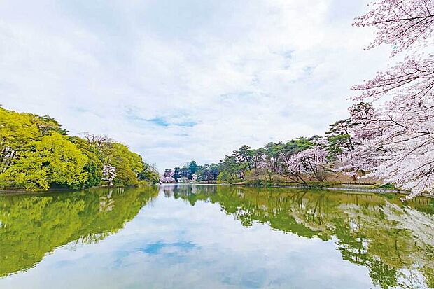 大宮公園（現地より徒歩6分）