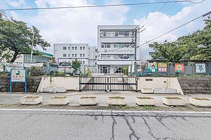 栄中学校（現地より徒歩10分） 約770m