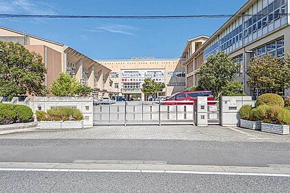 新和小学校（現地より徒歩18分） 約1400m