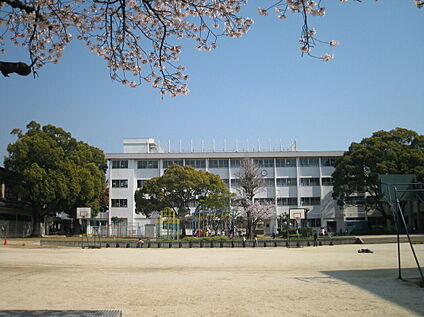 泉大津市立穴師小学校 約880m(徒歩約11分)