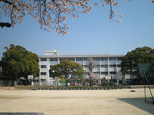 泉大津市立穴師小学校