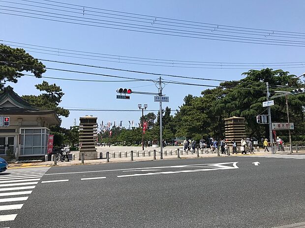 浜寺公園（約800m）