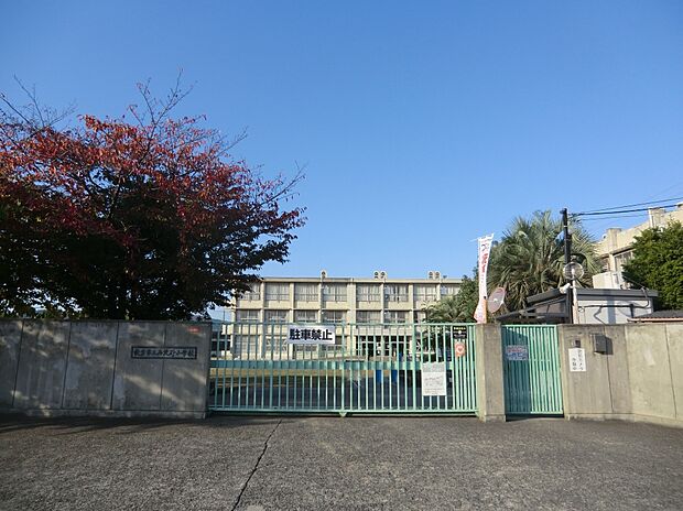 枚方市立西牧野小学校（約5m）