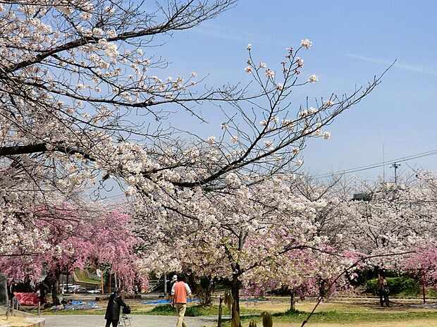 牧野公園(約750m)