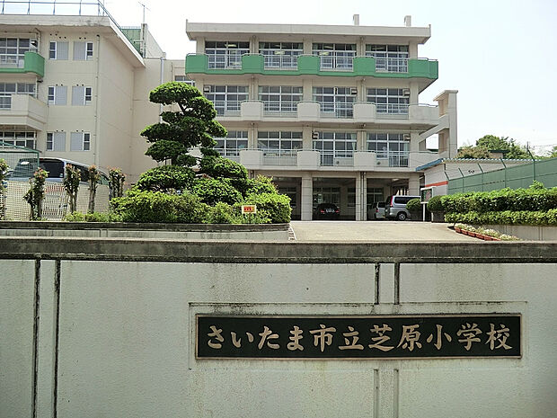 芝原小学校（約910m）