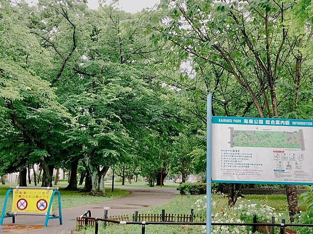 海楽公園（約218m）