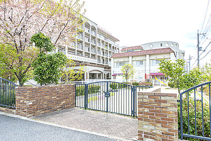 認定こども園あおい宙川西 約180ｍ(徒歩３分)