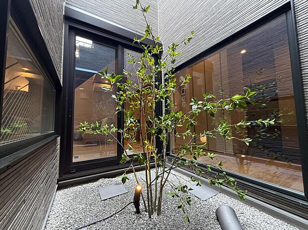 【【20号地モデルハウス/坪庭】】室内から眺められる癒しの坪庭。外からの視線を遮りながら、半屋外を身近に感じられる空間です。/現地2026年5月21日撮影