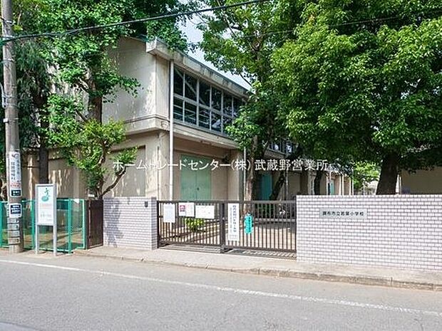 調布市立若葉小学校（約700m）