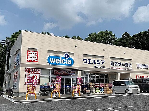 ウエルシア柏名戸ヶ谷店（約800m）