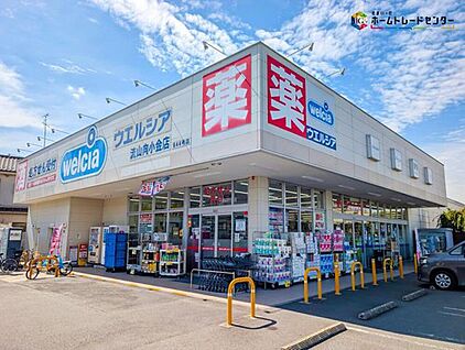 ウエルシア流山向小金店 250m(徒歩4分)
